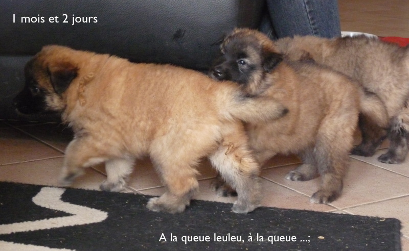 D�j� 1 mois !!!