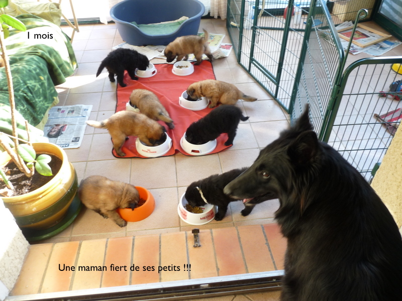 Chacun sa gamelle !!!!
