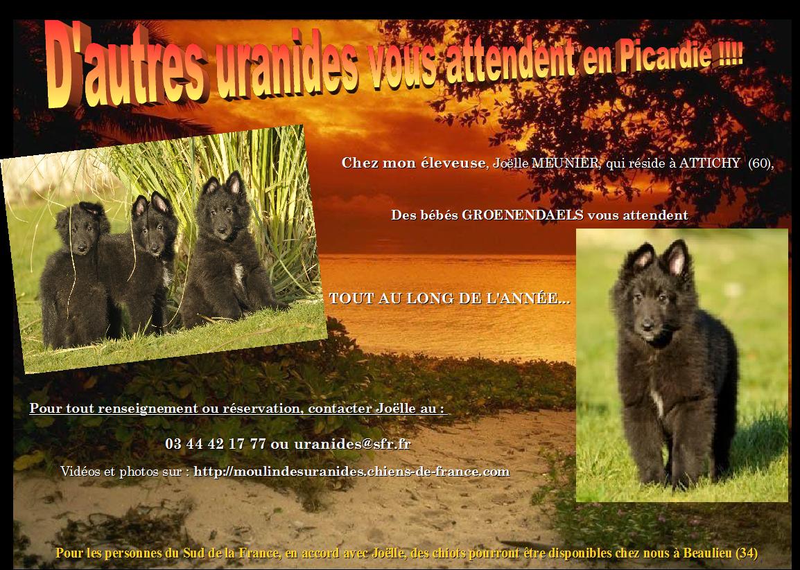 Gummy, 2 mois